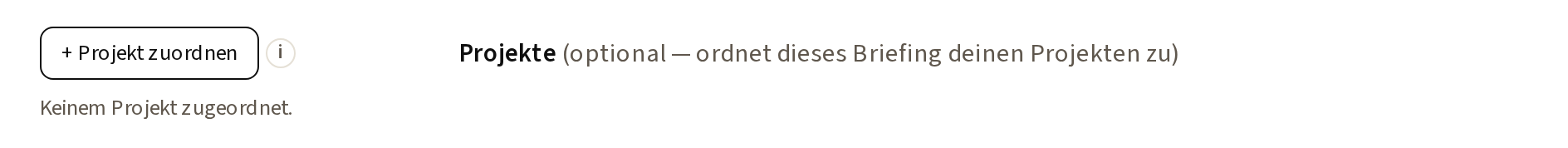 Der Knopf „+ Projekt zuordnen“ im Briefing