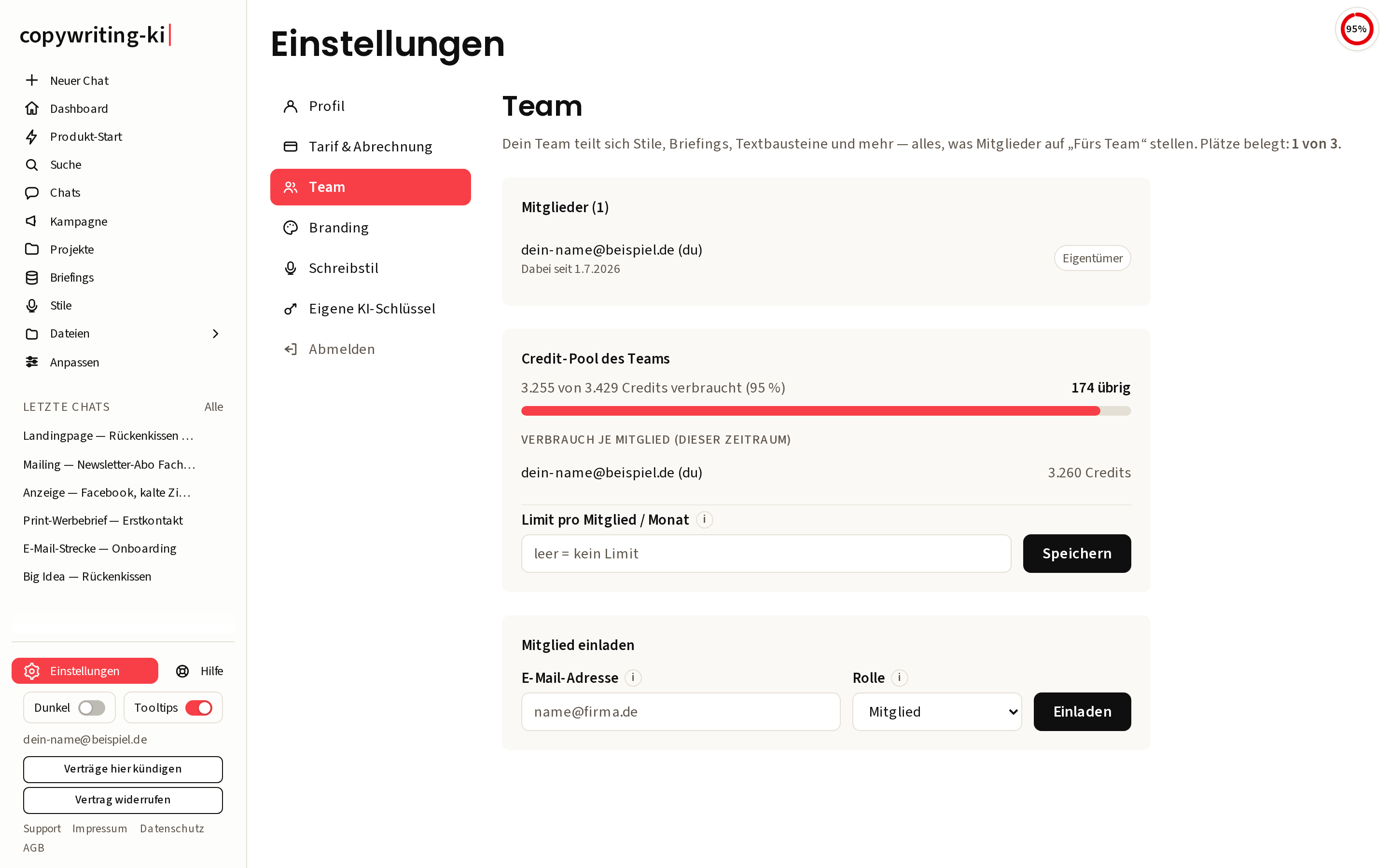 Der Team-Bereich unter „Einstellungen“: Mitglieder, Rollen, belegte Plätze und der gemeinsame Credit-Topf